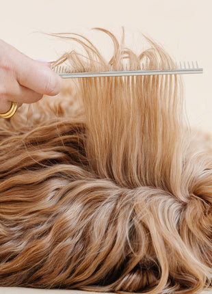 Pup Parent Essentials