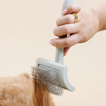 Everyday Slicker Brush
