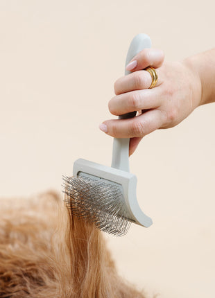 Everyday Slicker Brush