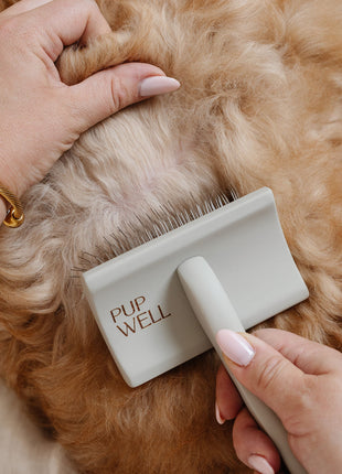 Everyday Slicker Brush