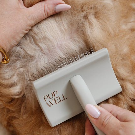 Ultimate Dog Grooming Kit