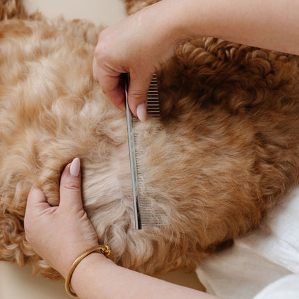Pup Parent Essentials