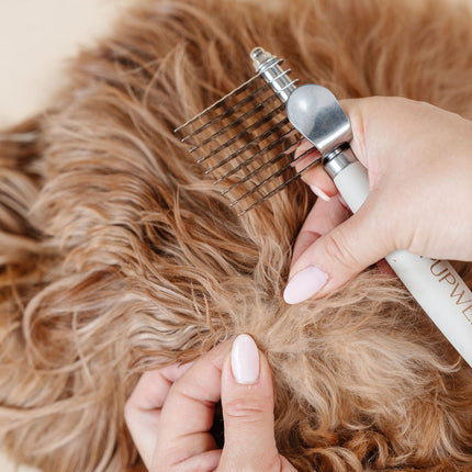 Ultimate Dog Grooming Kit