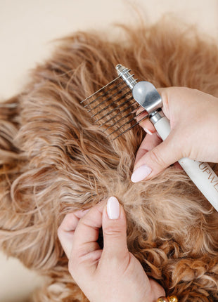 Ultimate Dog Grooming Kit