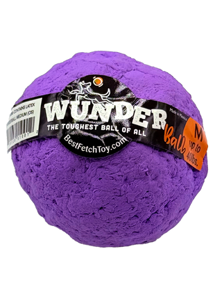 WUNDERball - Best Fetch Toy
