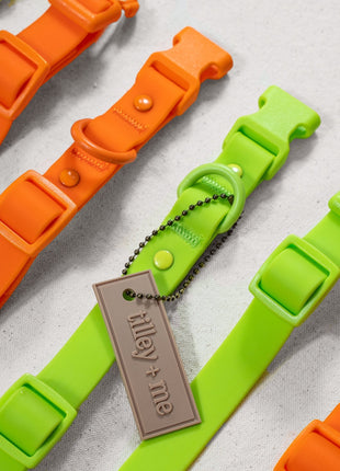 Tilley + Me PVC Dog Collar - All Weather Waterproof Durable & Odor-Resistant - Pup List