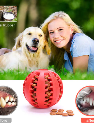 Dog Chew Toy - Pup List