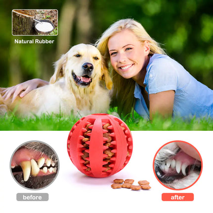 Dog Chew Toy - Pup List