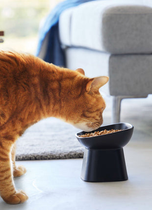 Tilted Pet Food Bowl
