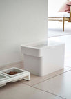 Medium / White