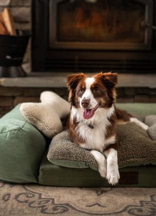 Rectangle Orthopedic Pet Couch