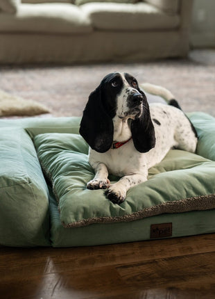 Rectangle Orthopedic Pet Couch