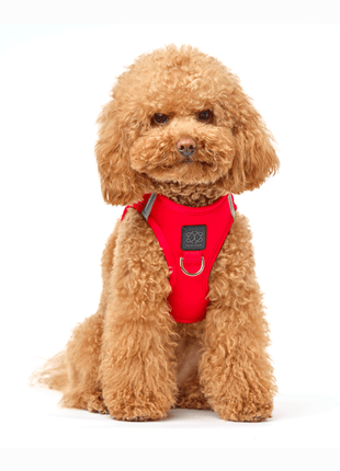 SoHo Dog Harness - Iconic Red - Pup List