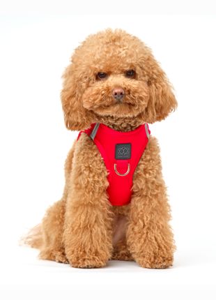 SoHo Dog Harness - Iconic Red