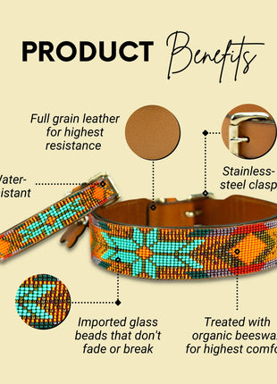 Sardinia Sambboho dog collar (Glam Collection)