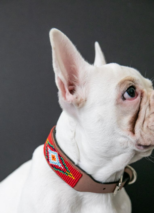 Red Vogue Sambboho dog collar