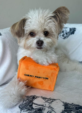 CHEWY PAWTTON PLUSH DOG TOY