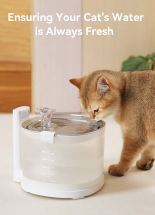 Pet Fountain Replacement Filters