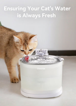 Pet Fountain Replacement Kit