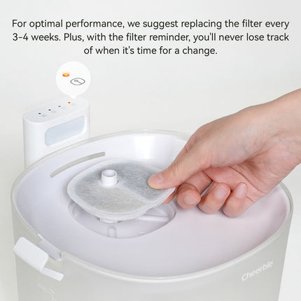 Pet Fountain Replacement Filters