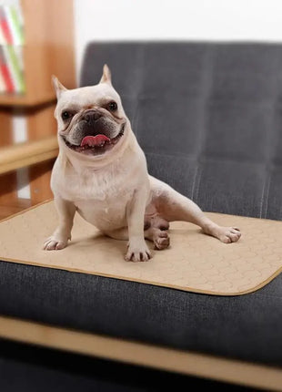Reusable Dog Pee Pads Puppy Waterproof Mat For Pets - Washable Training Pads