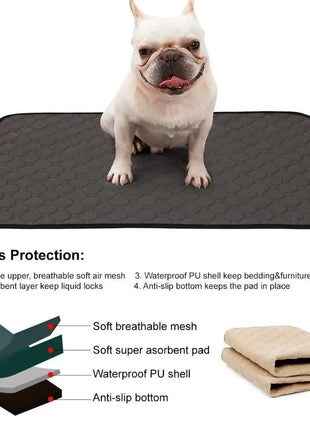Reusable Dog Pee Pads Puppy Waterproof Mat For Pets - Washable Training Pads