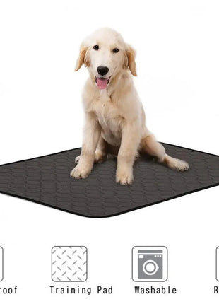 Reusable Dog Pee Pads Puppy Waterproof Mat For Pets - Washable Training Pads