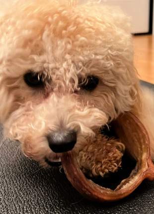 Small Bully Stick Ring