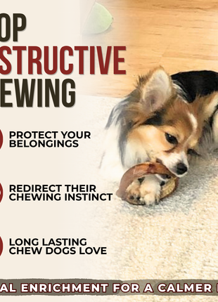 Small Bully Stick Ring