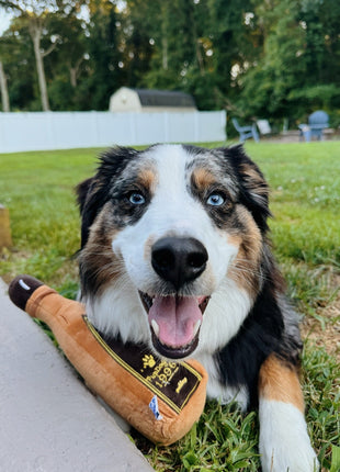 1996 TEQUILA PLUSH DOG TOY