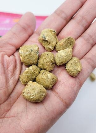 Freeze Dried Dog Treats - Salmon Puffs