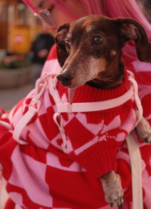 Roll Neck Dog Knitted Love Sweater