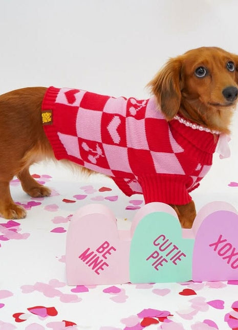 Roll Neck Dog Knitted Love Sweater - Pup List