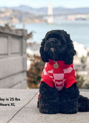 Roll Neck Dog Knitted Love Sweater
