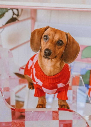 Roll Neck Dog Knitted Love Sweater