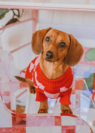 Roll Neck Dog Knitted Love Sweater