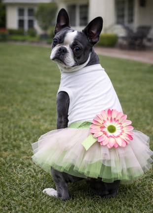 Parisian Pet 'Sunflower Dress' for Dogs and Cats, Designer Sleeveless, Summer Pet Apparel, Green - Pup List