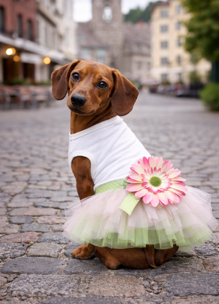 Parisian Pet 'Sunflower Dress' for Dogs and Cats, Designer Sleeveless, Summer Pet Apparel, Green - Pup List