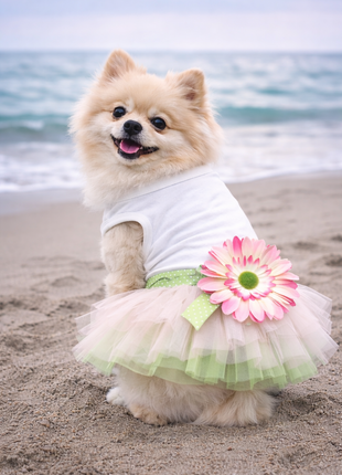 Parisian Pet 'Sunflower Dress' for Dogs and Cats, Designer Sleeveless, Summer Pet Apparel, Green - Pup List