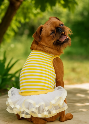 Parisian Pet 'Ballerina Dress' for Dogs and Cats, Comfortable Sleeveless, Yellow with White Stripes