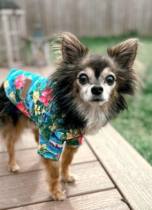 Parisian Pet 'Hawaiian Camp' Dog & Cat Shirt – Lightweight Cotton, Stylish Vacation Pet Apparel – Blue