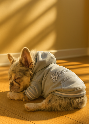 Parisian Pet 'Blessed Hoodie' in Gray - Trendy Pet Hoodie for Dogs & Cats, Perfect for Fall & Winter
