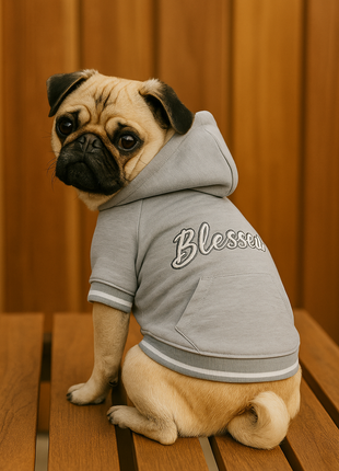 Parisian Pet 'Blessed Hoodie' in Gray - Trendy Pet Hoodie for Dogs & Cats, Perfect for Fall & Winter