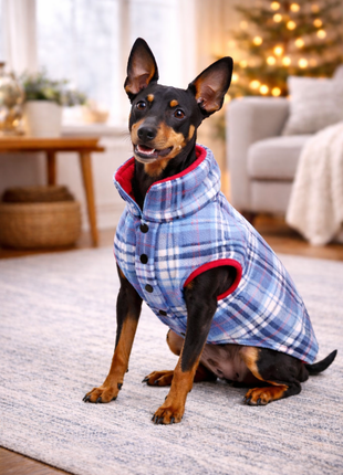 Parisian Pet 'Plaid Reversible Jacket' for Dogs & Cats, Stylish Pet Outerwear, Warm Winter Dog Jacket,-Valentine's Day - Pup List