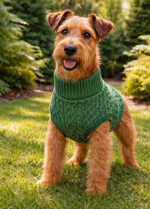 Parisian Pet 'Cable Knit Sweater' - Warm & Stylish Pet Sweater in Green for Dogs & Cats - Pup List