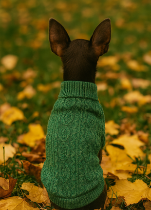 Parisian Pet 'Cable Knit Sweater' - Warm & Stylish Pet Sweater in Green for Dogs & Cats