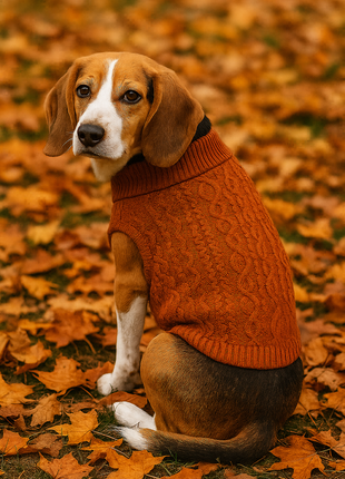 Parisian Pet 'Cable Knit Sweater' - Warm & Stylish Pet Sweater in Terracotta for Dogs & Cats