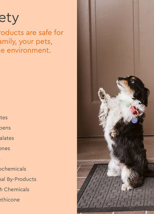 Pet Stain & Odor Remover