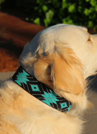 Saint Barth Sambboho dog collar (Deluxe Edition)