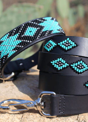 Matching leash/dog collar Saint Barth Sambboho Bundle